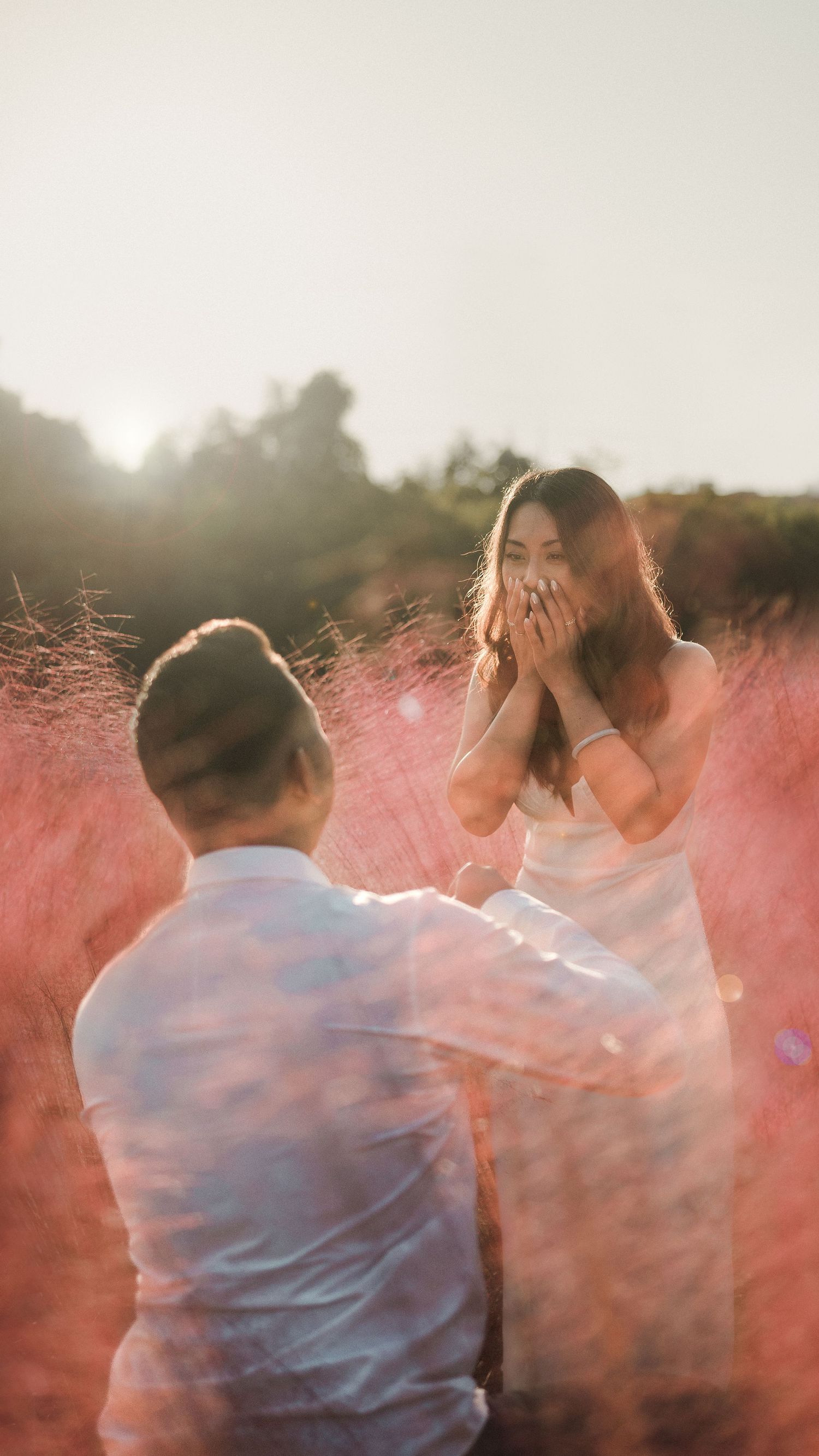 Engagement Proposal Photos