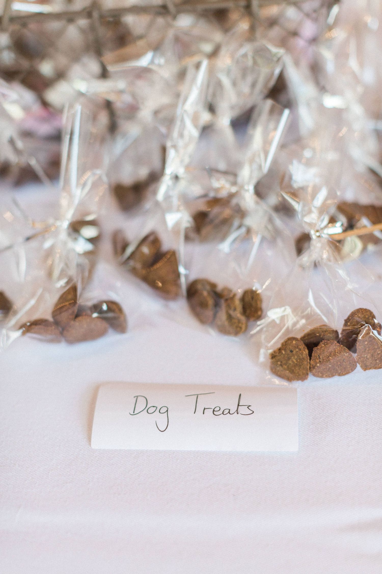 Hayley Elizabeth Photography Dogs at weddings dog treats at Hellen's manor Herefordshire west midlands