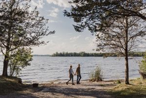 Sunset engagement session at Massassauga Point in Prince Edward County, Ontario