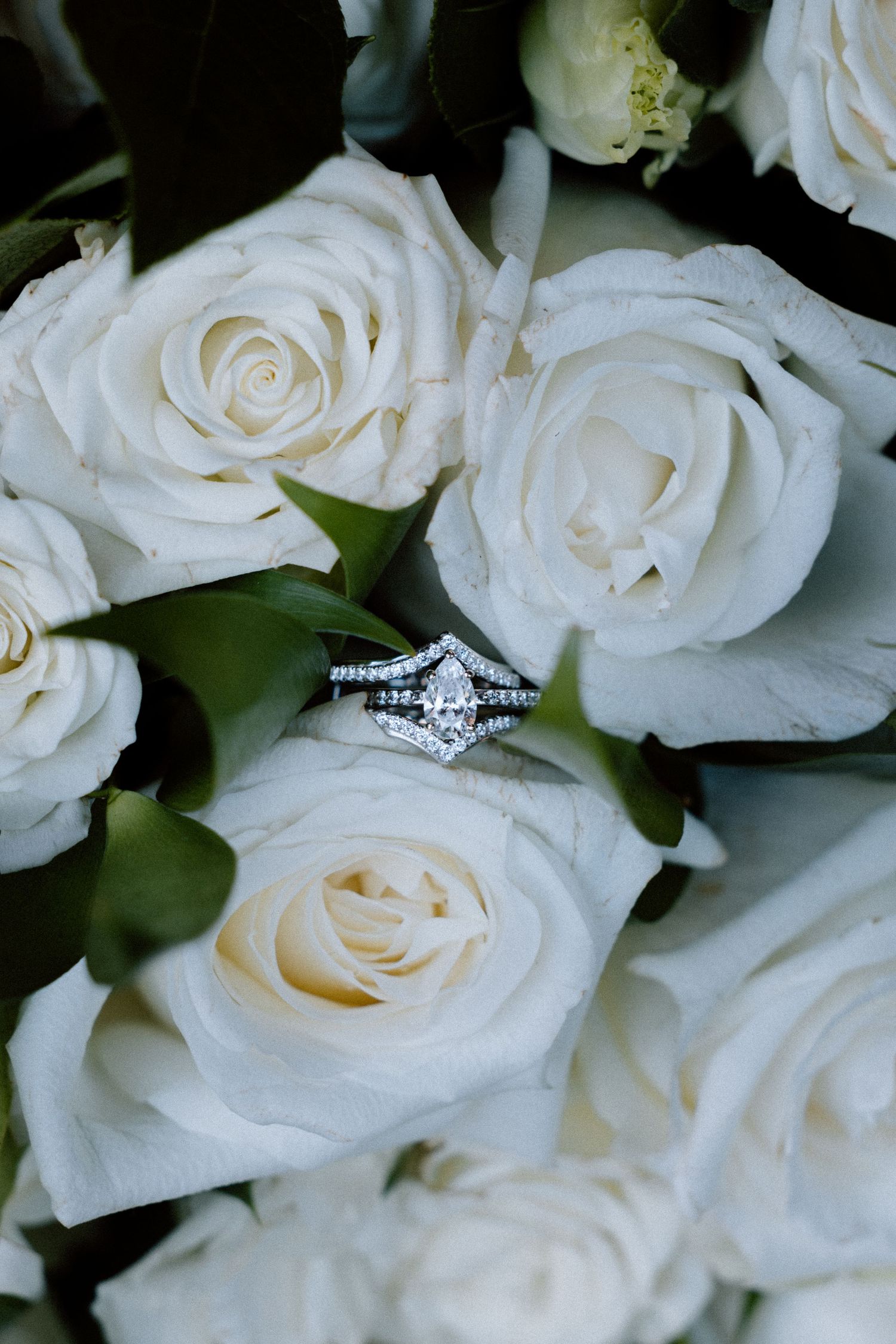 Elegant diamond engagement ring nestled among white roses with green foliage.