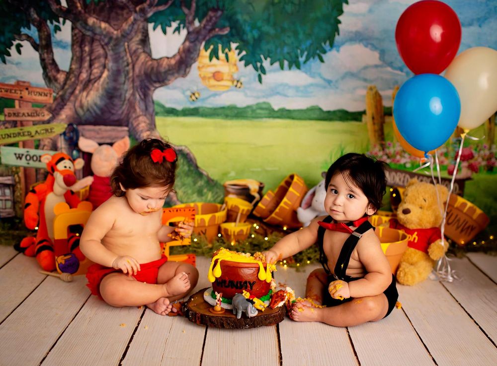 Winnie the Pooh cakesmash theme