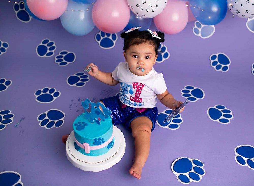 Festive birthday celebration setup with blue and pink balloons against purple background with paw print pattern decorations.
