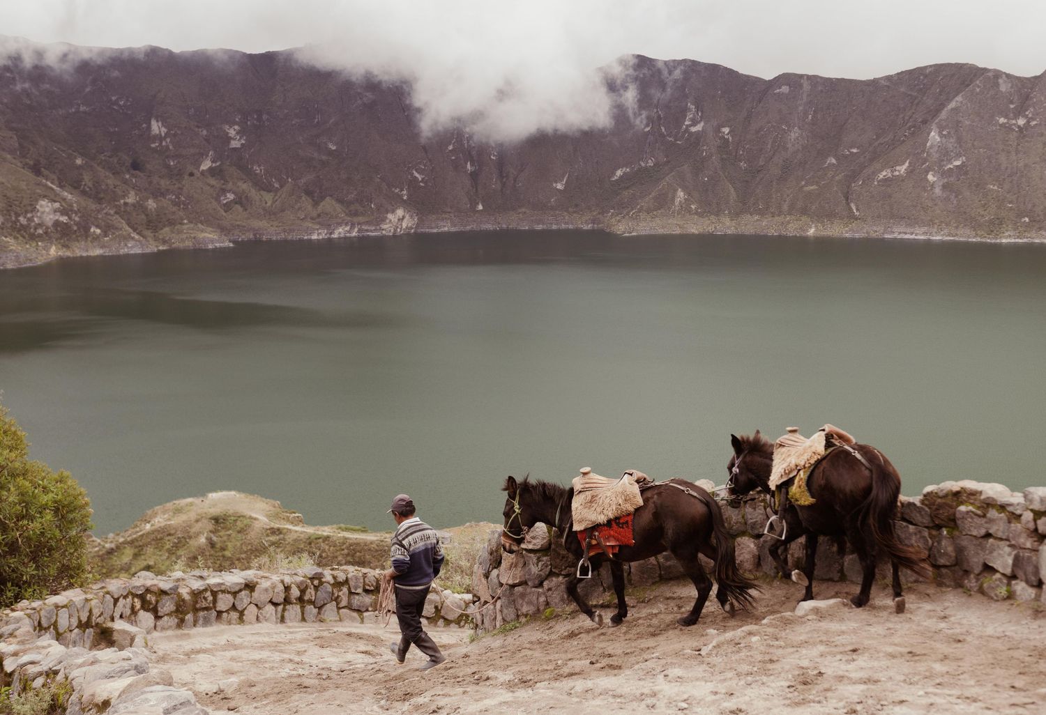 Man in Ecuador leads horses down a path.