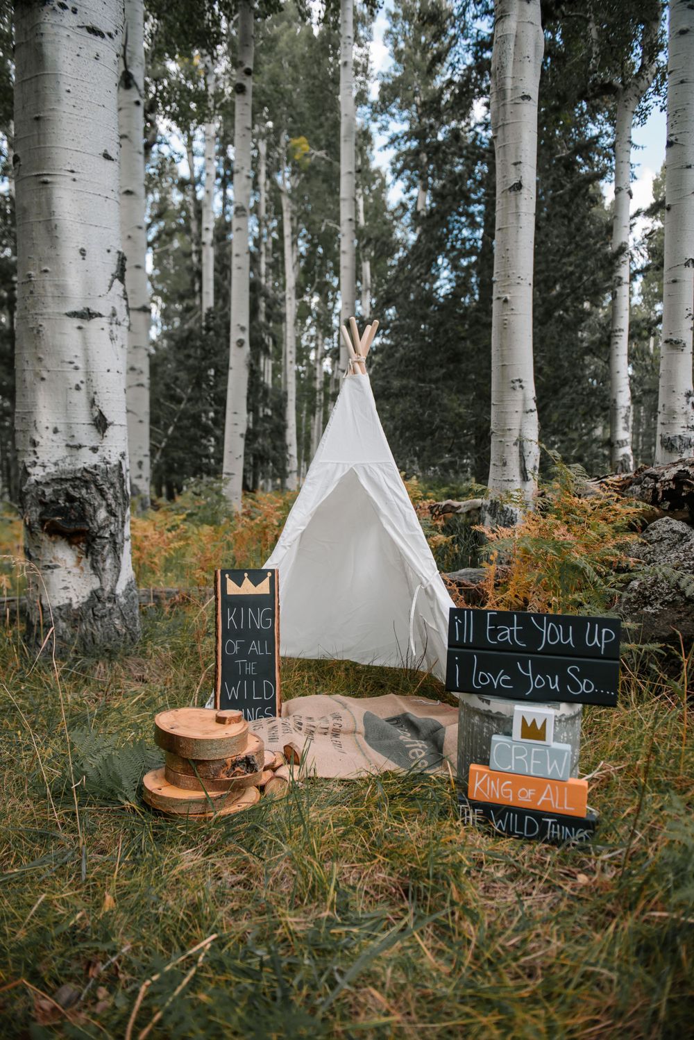 White teepee tent among aspen trees with wooden signs and rustic decor.