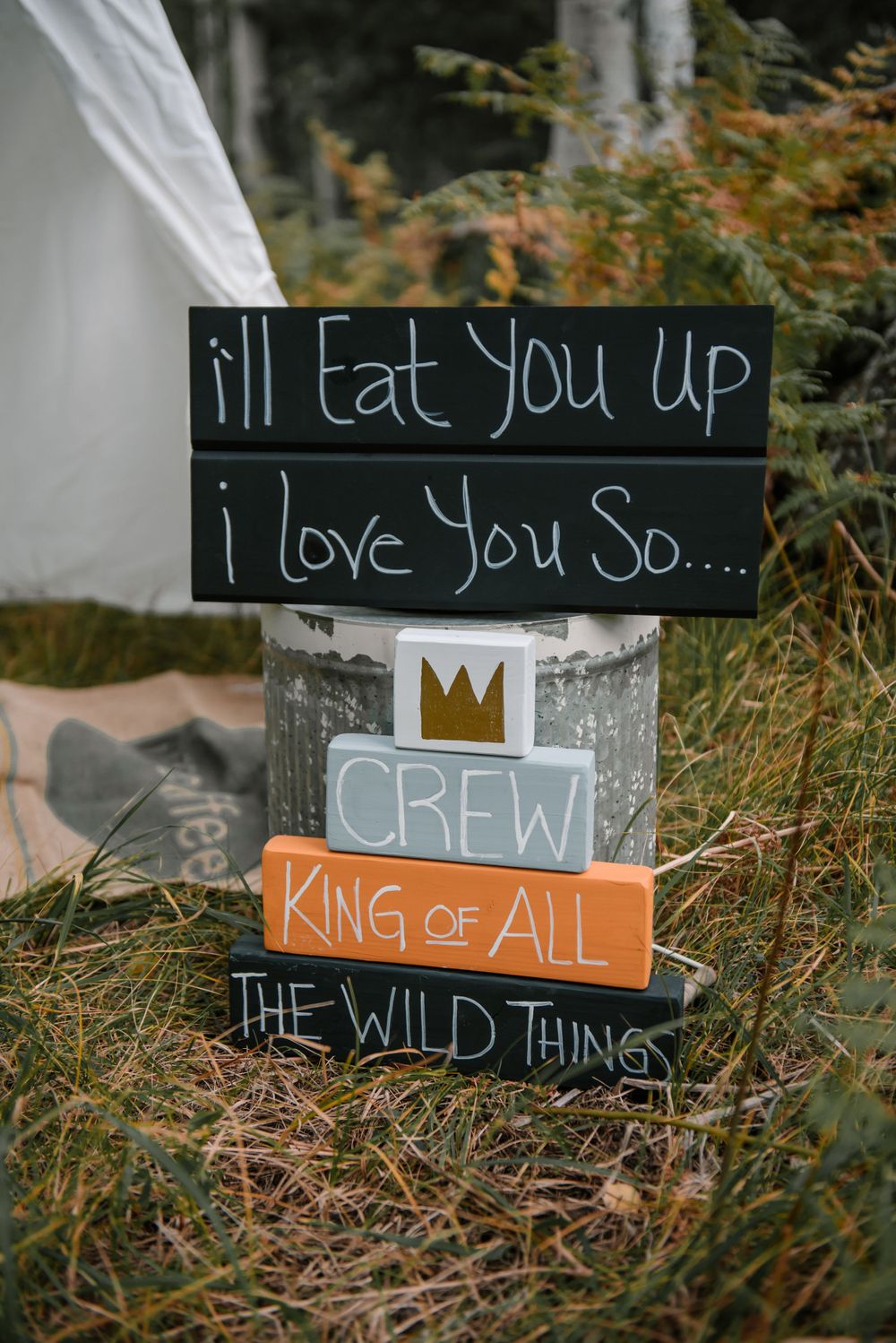 Stacked wooden signs with 'Wild Things' theme quotes and crown motif in forest setting.