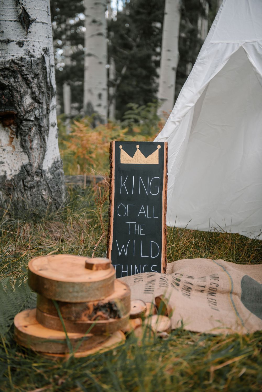 Wooden log slices and chalkboard signs with 'King of All Wild Things' text arranged in a birch forest setting.