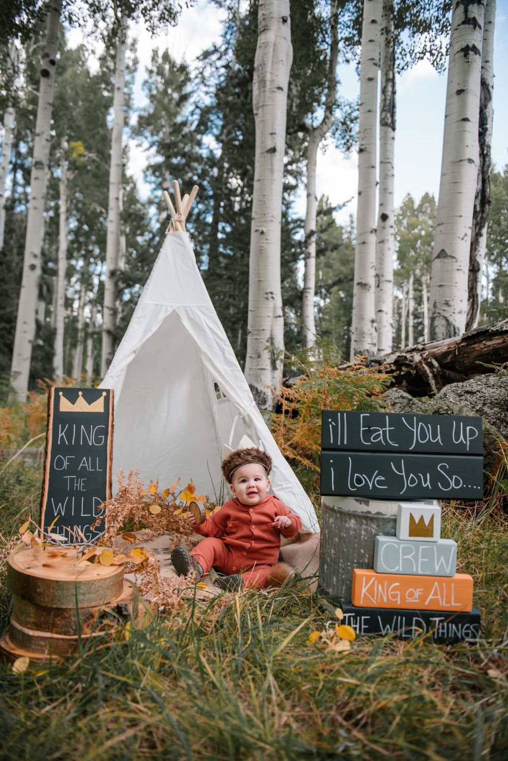 Rustic woodland photography setup with teepee and chalkboard signs among tall birch trees.