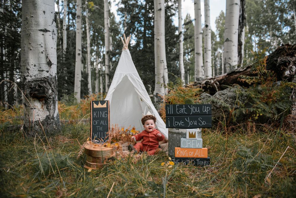 Natural outdoor scene with white teepee and decorative signs in a birch forest.