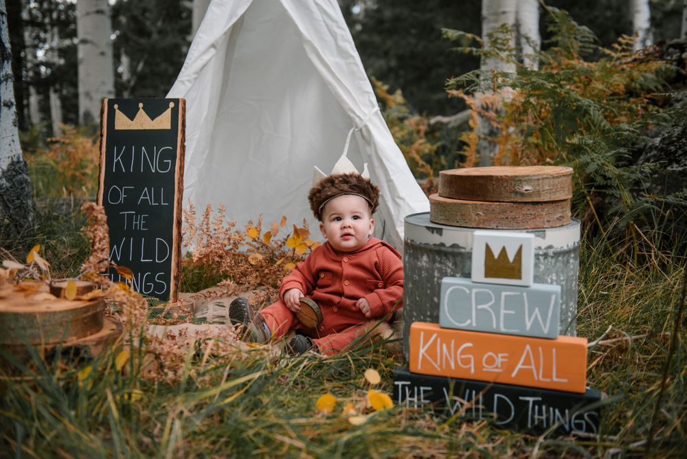 White teepee tent and 'Wild Things' themed decor arranged in a birch forest setting.