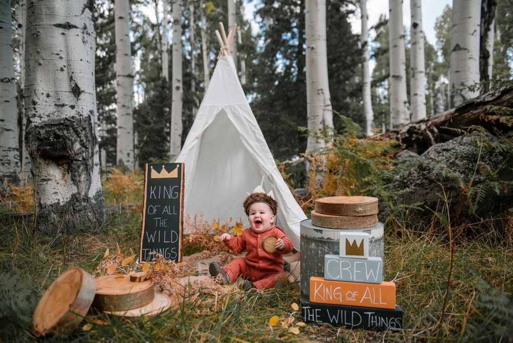Woodland photo setup with white teepee and 'Wild Things' themed signs in a birch grove.