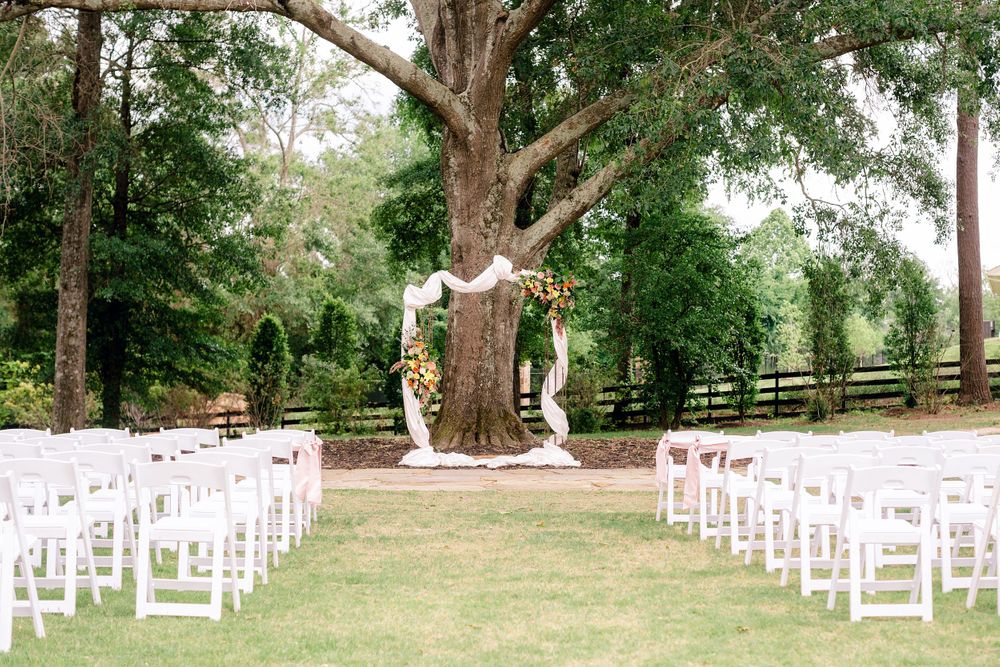 White wedding ceremony chairs arranged in rows facing a majestic tree decorated with white fabric.