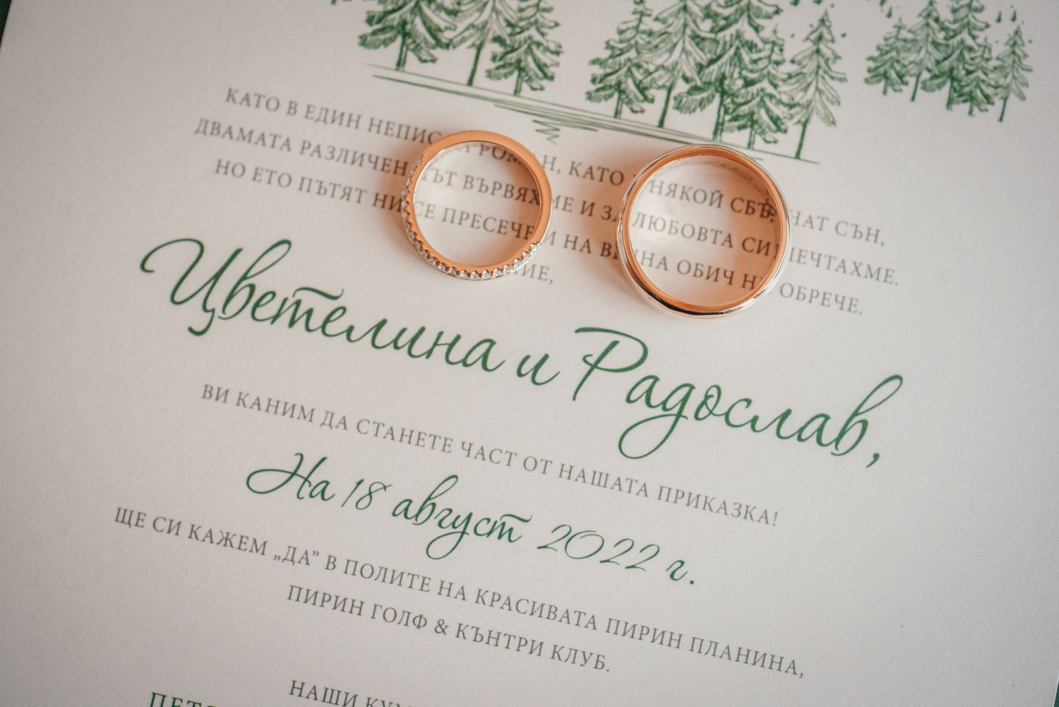 Wedding rings placed on elegant invitation with green pine tree design details.