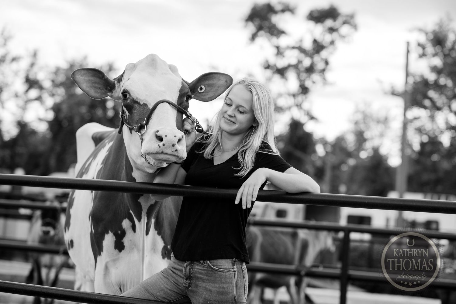 A black and white photo shows a dairy cow and person sharing a lighthearted moment by a metal fence.
