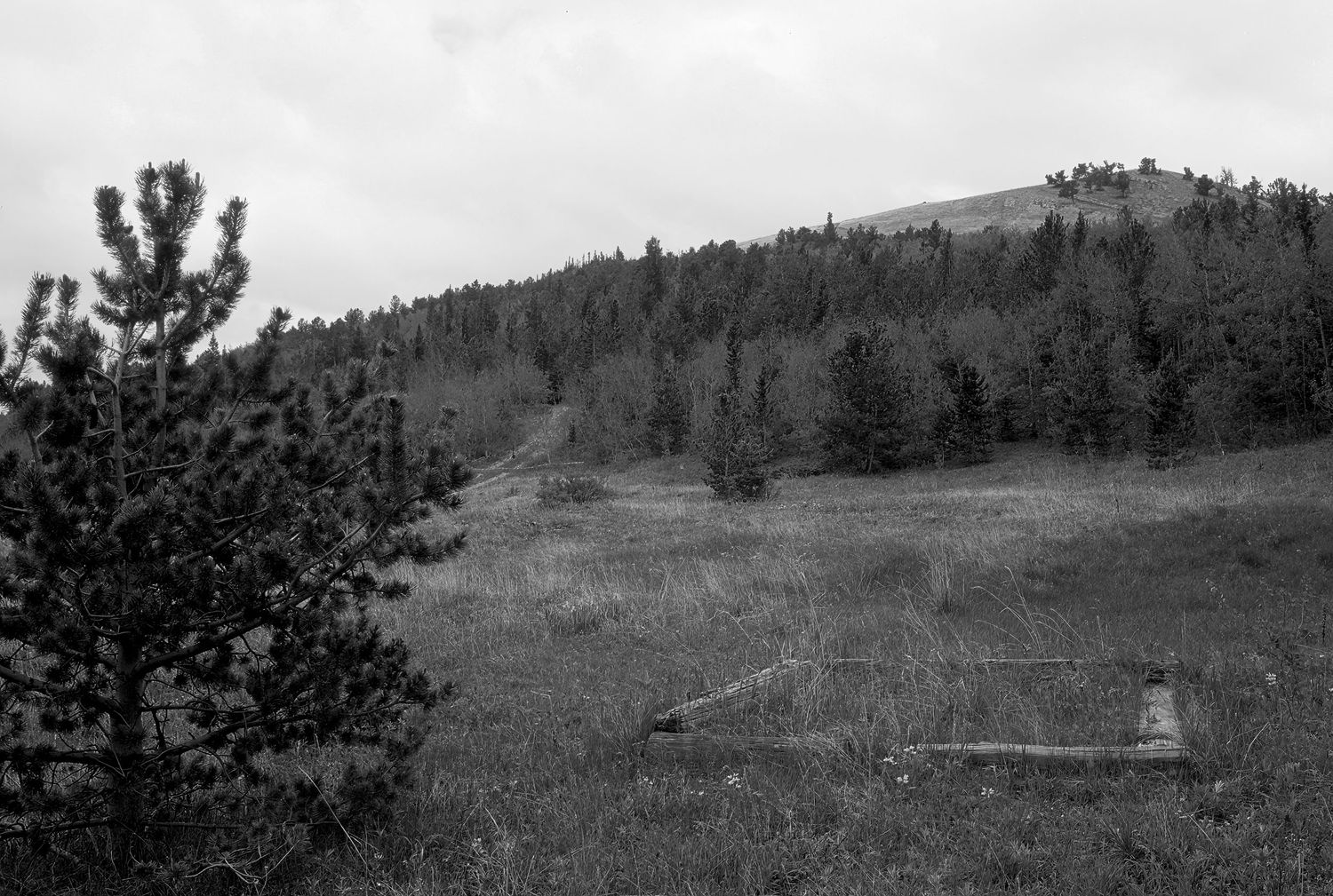 Camp Francis, Colorado