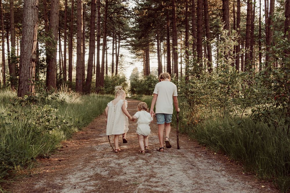 3 kinderen, een broer en 2 zussen, aan het wegwandelen in het bos tijdens de zonsondergang