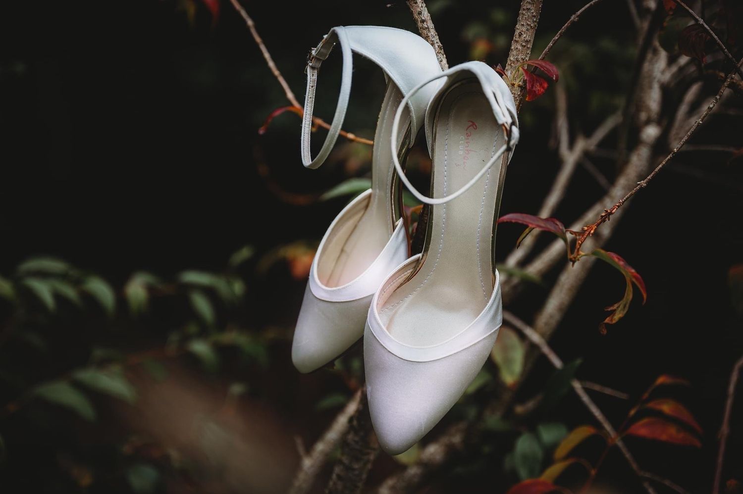 Elegant white bridal shoes hanging on tree branches with autumn leaves.