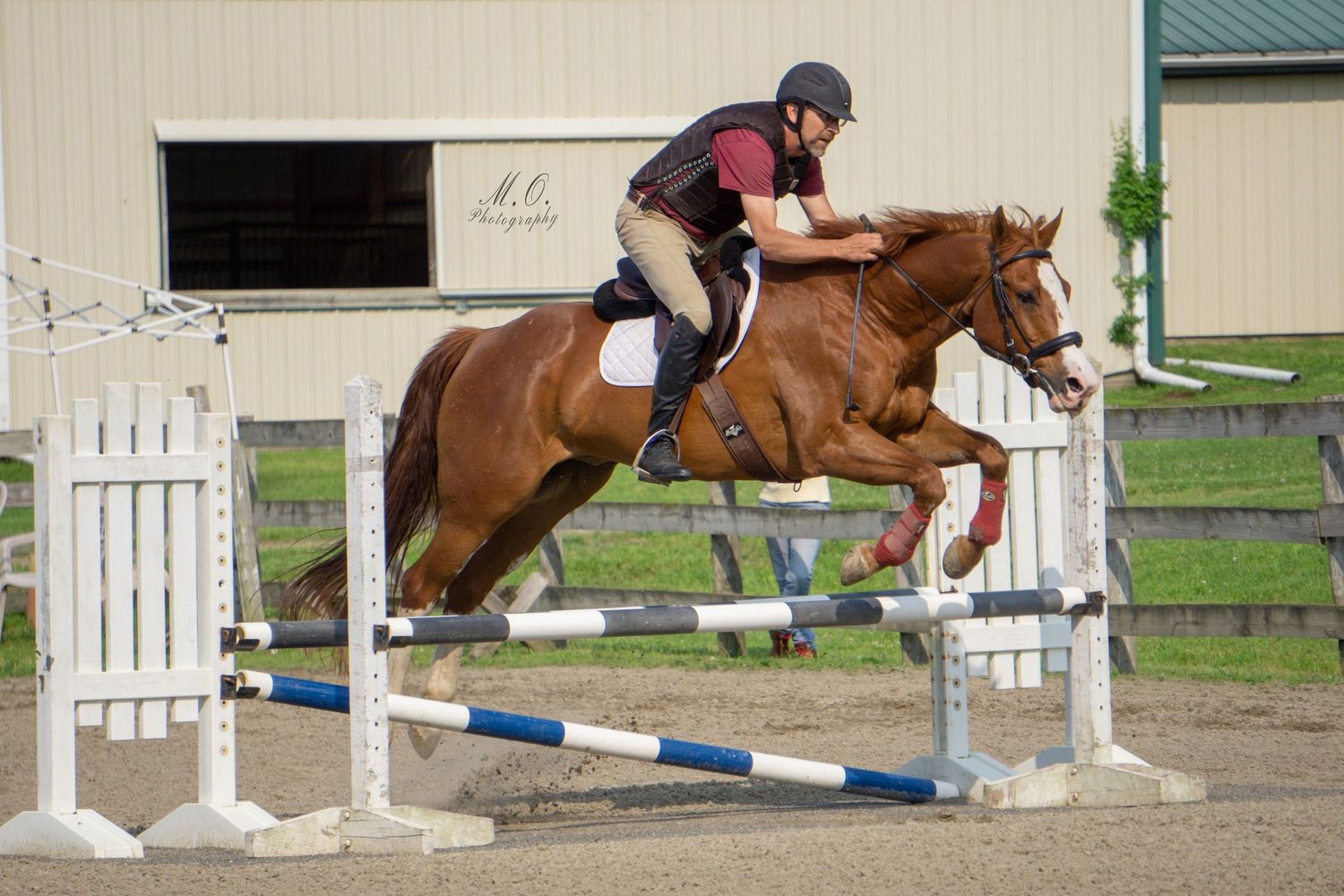Equine photographer, Lehigh valley, black backgrounds, mo equine photography, horse and rider sessions, pet photography