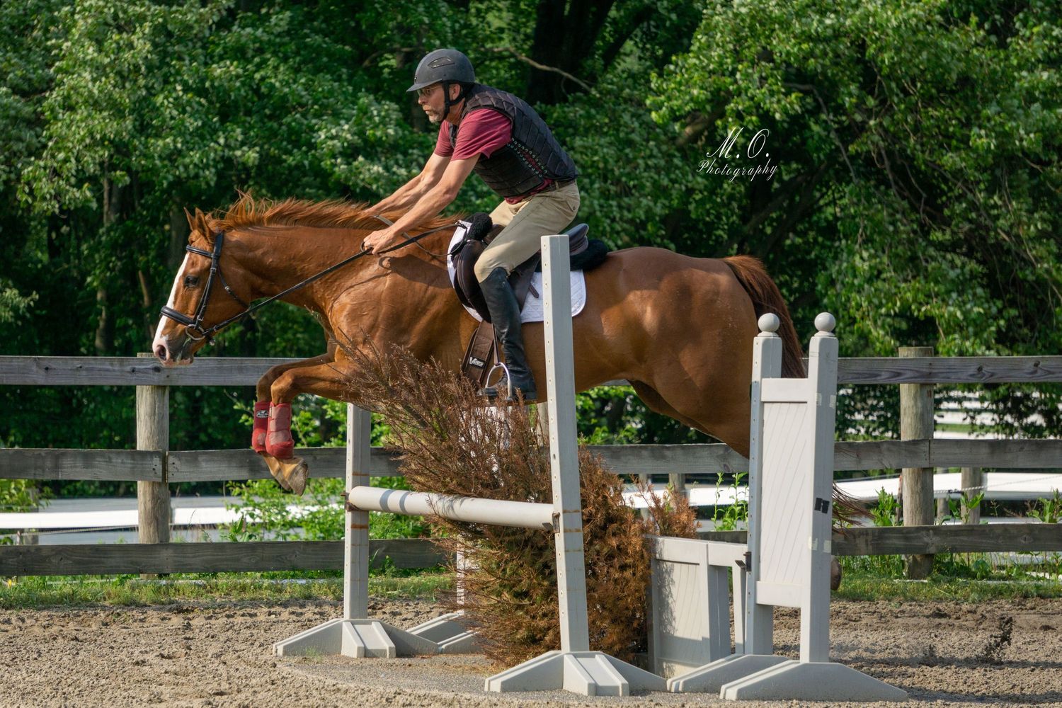 Equine photographer, Lehigh valley, black backgrounds, mo equine photography, horse and rider sessions, pet photography