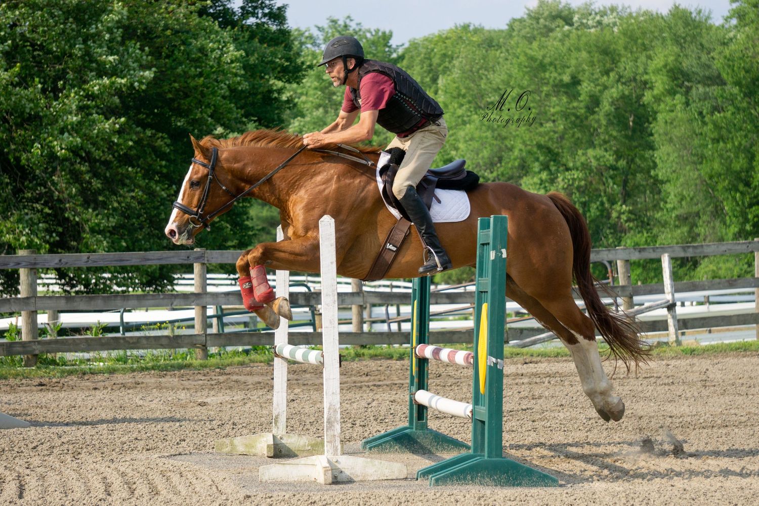 Equine photographer, Lehigh valley, black backgrounds, mo equine photography, horse and rider sessions, pet photography