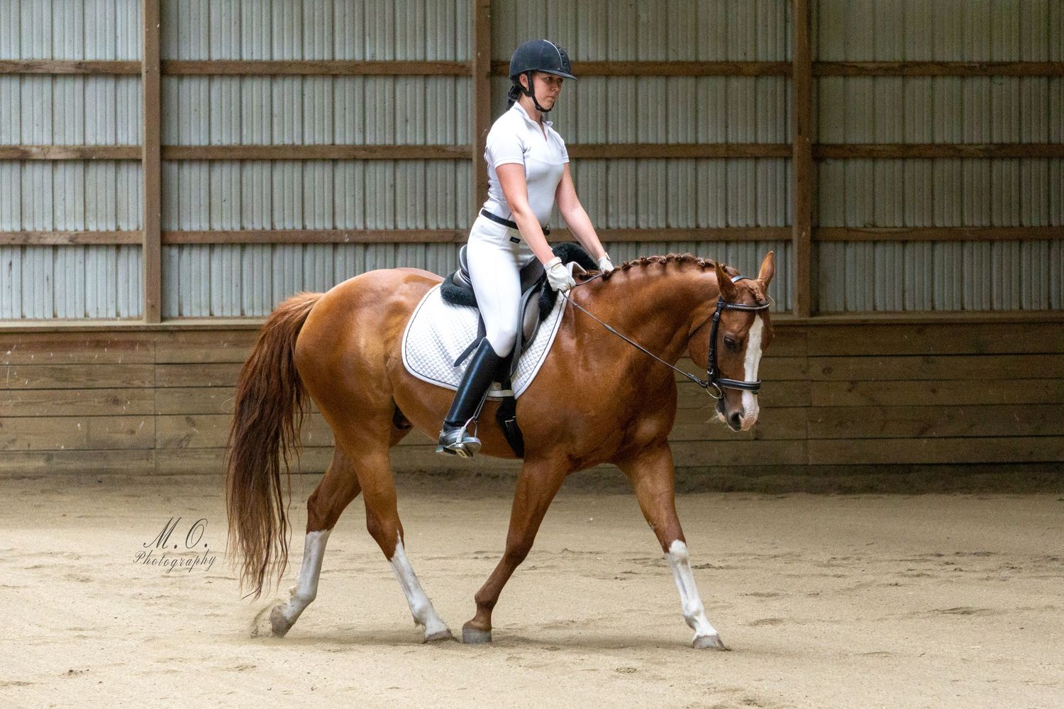 Equine photographer, Lehigh valley, black backgrounds, mo equine photography, horse and rider sessions, pet photography