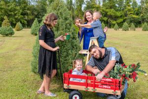 Christmas family portraits Christmas tree farm family portraits