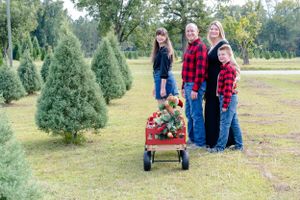 Christmas family portraits Christmas tree farm family portraits