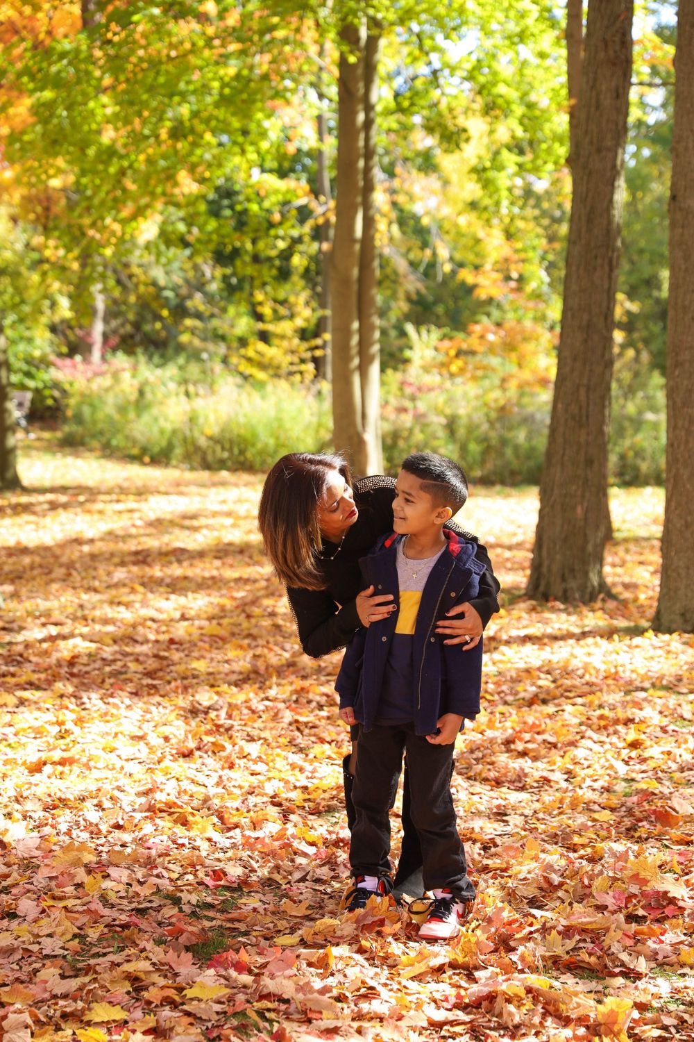 Autumn scene in a park with fallen leaves covering the ground beneath tall trees.