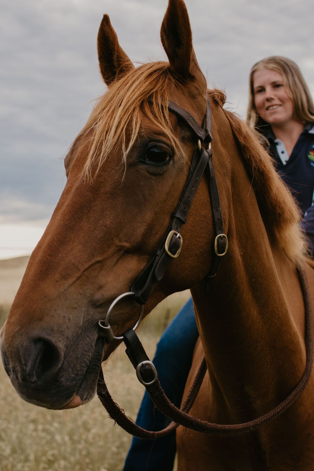 girl and horse in a paddock