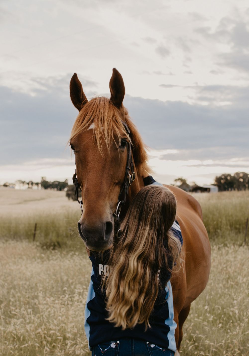 horse and back of girl who is giving horse a hug in a paddock on a farm in Gundaroo NSW