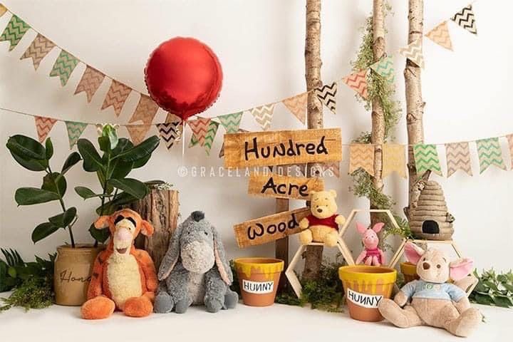 Oban Winnie the Pooh first birthday celebration