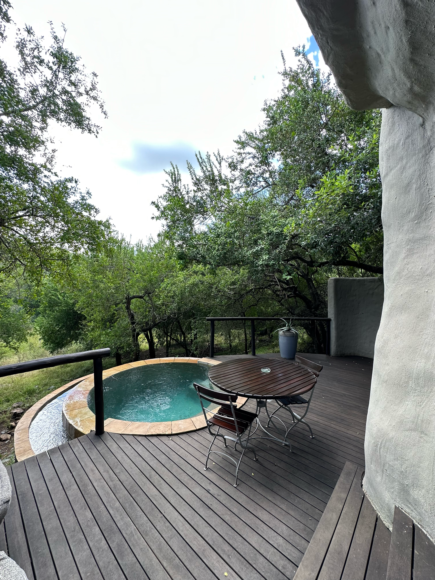 Modern wooden deck overlooking a curved infinity pool surrounded by lush greenery.