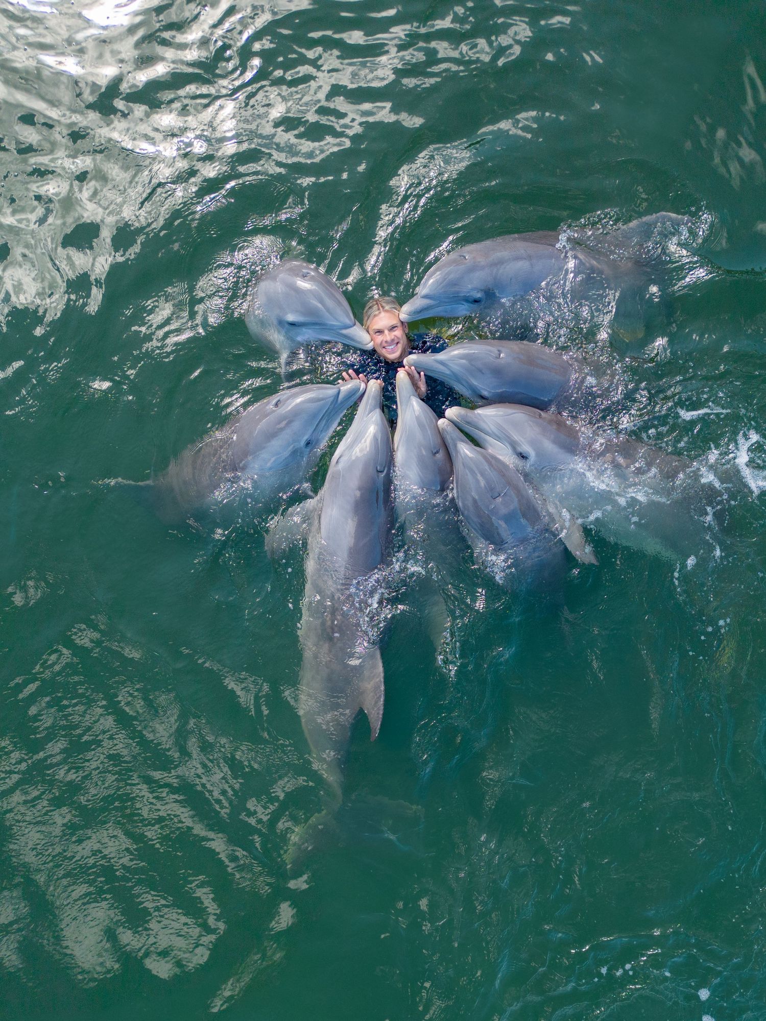 Dolphins swimming and playing together in clear turquoise ocean water.