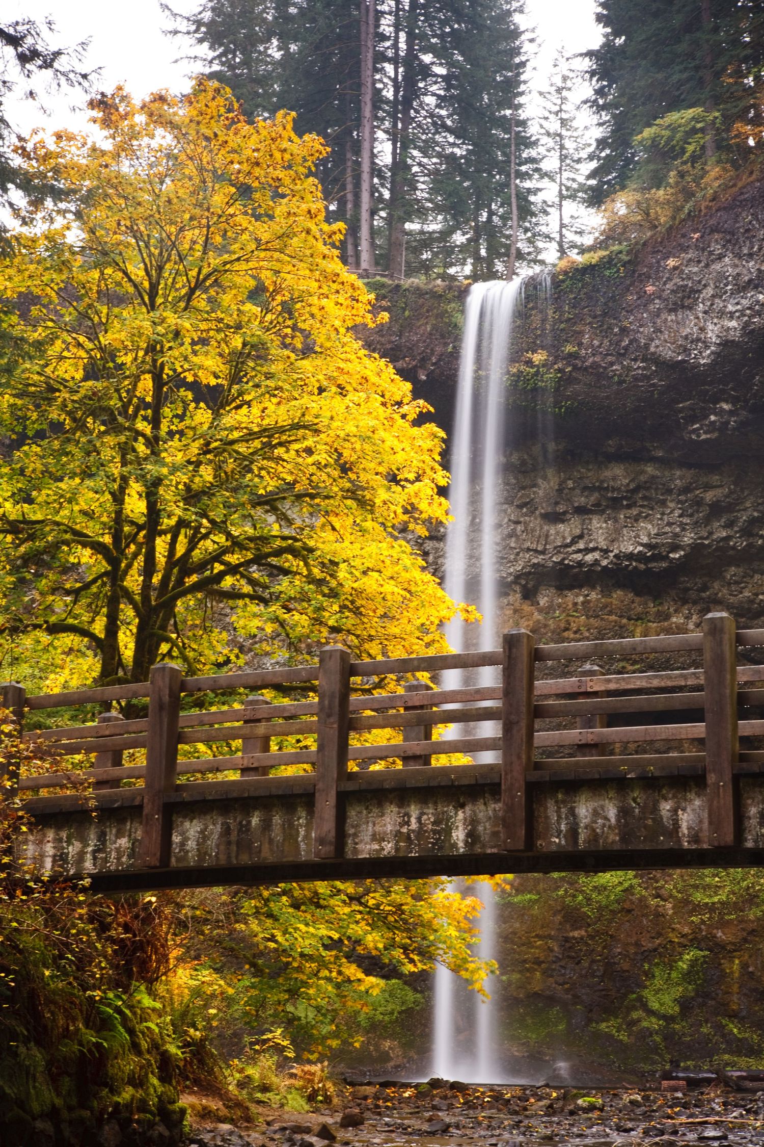 A waterfall in Silver Falls State Park, Oregon