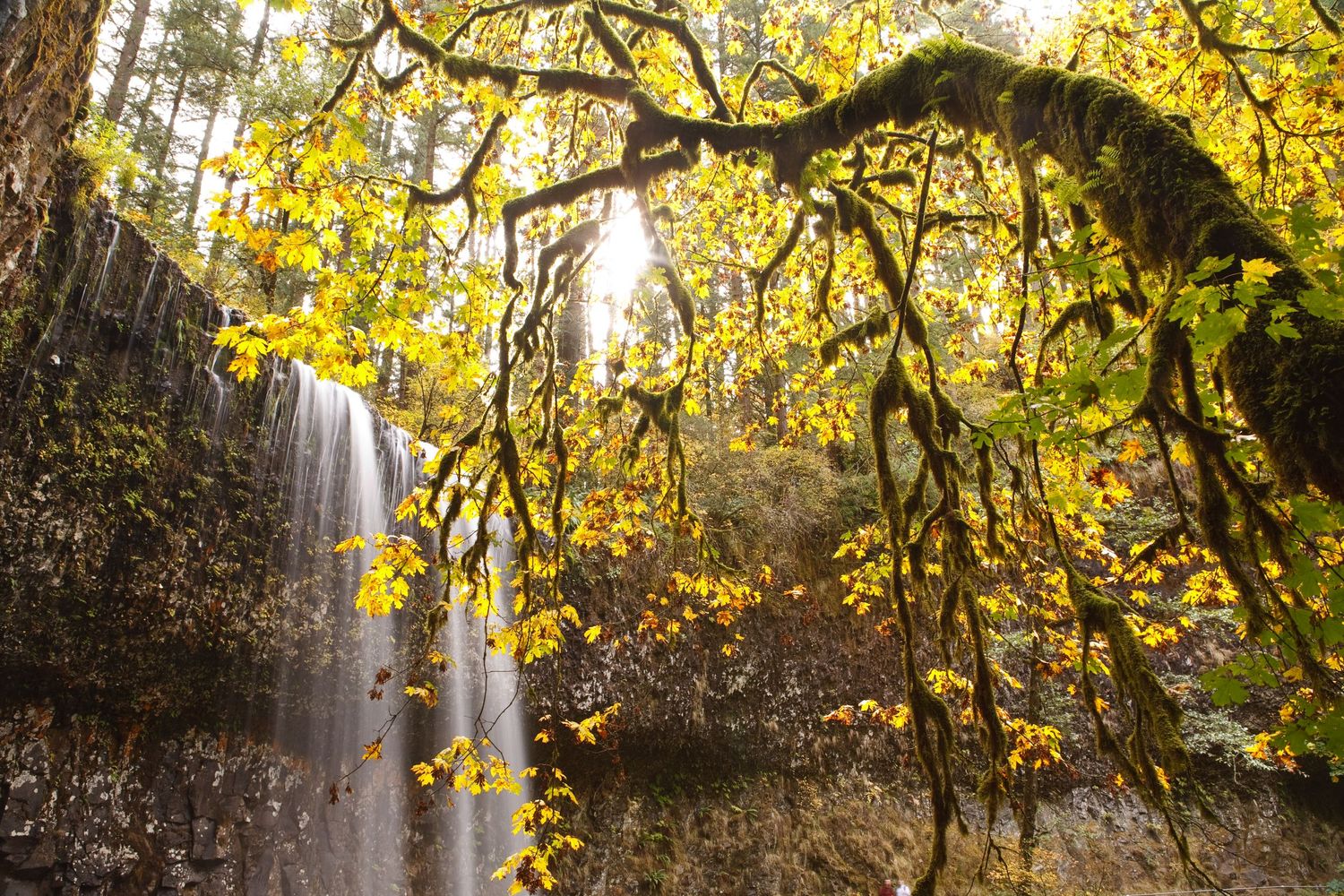South Falls in Silver Falls State Park, Oregon