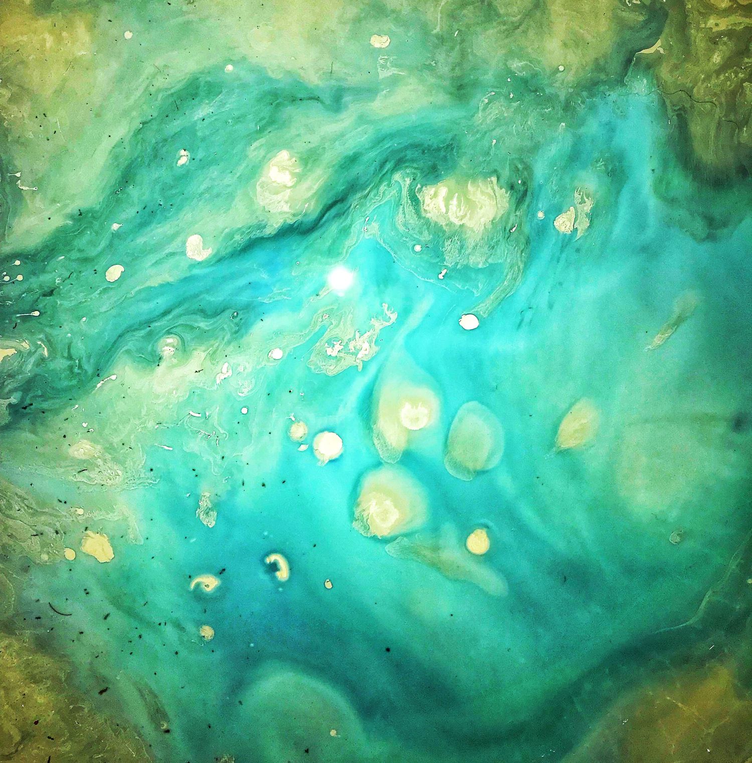 Abstract turquoise and gold fluid art texture with ethereal bubble-like formations.
