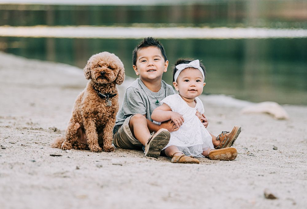 Two young children sitting with fluffy brown dog by calm water.