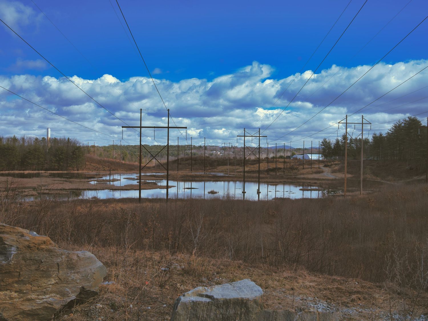 Power lines cross a wetland landscape under a dramatic blue sky with white clouds in early spring.
