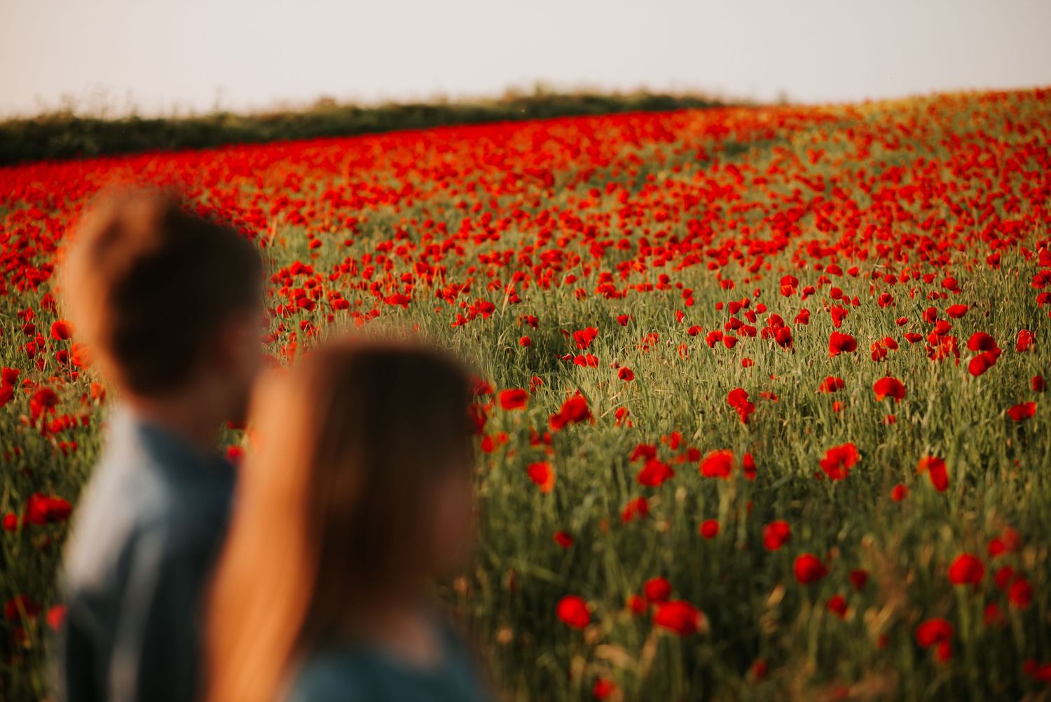 poppy field mini shoot, family session, Cornwall photoshoot