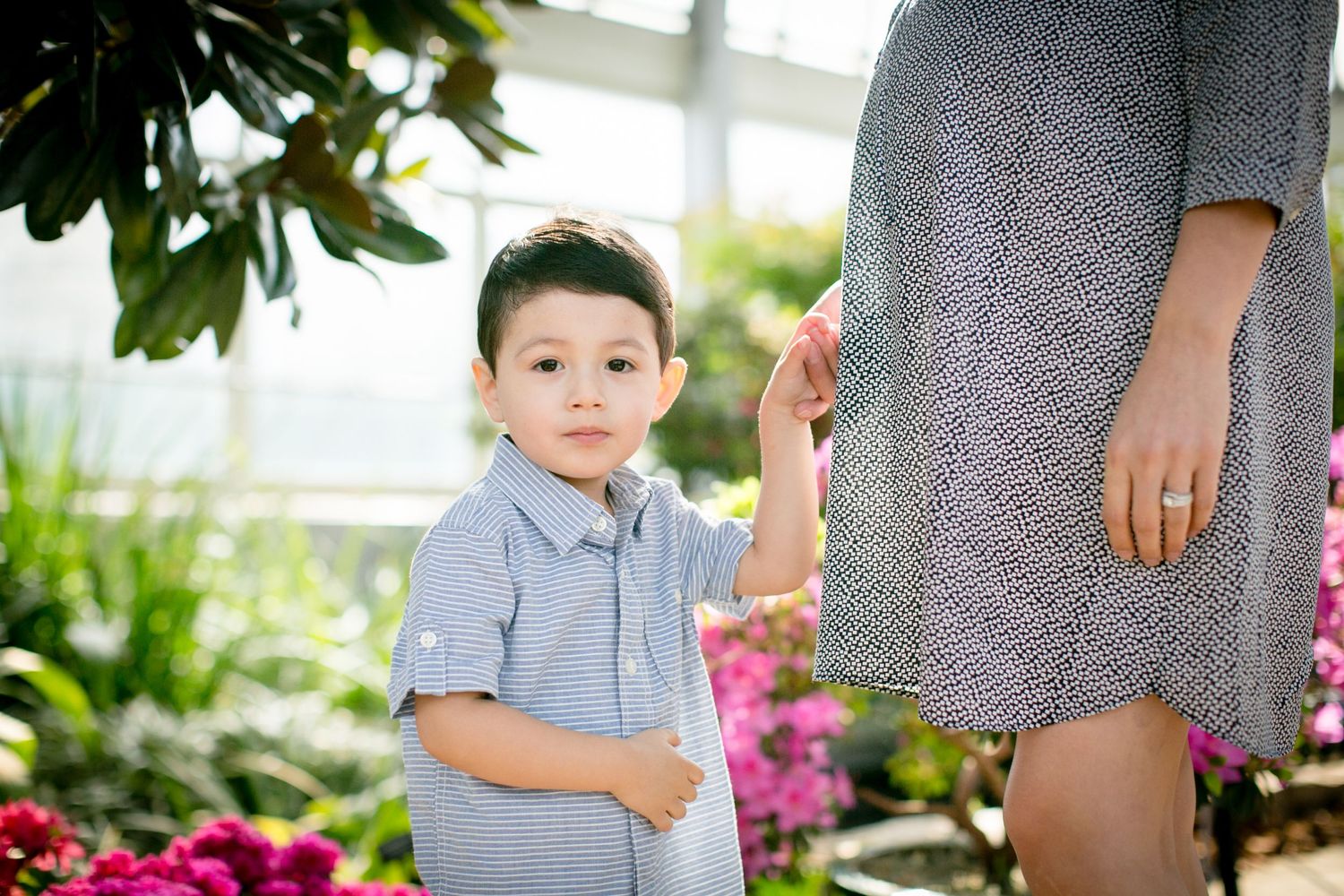 Family portraits taken in a greenhouse with blooming flowers and natural lighting.