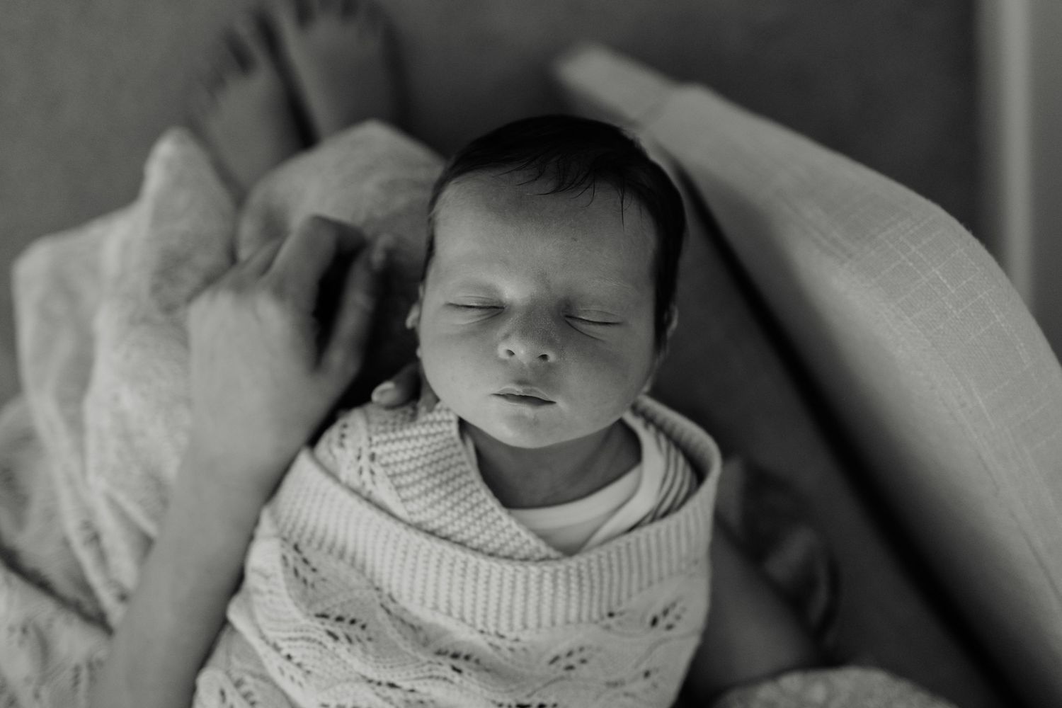 geelong_melbourne_photographer_photoshoot_maternity_pregnancy_newborn_family