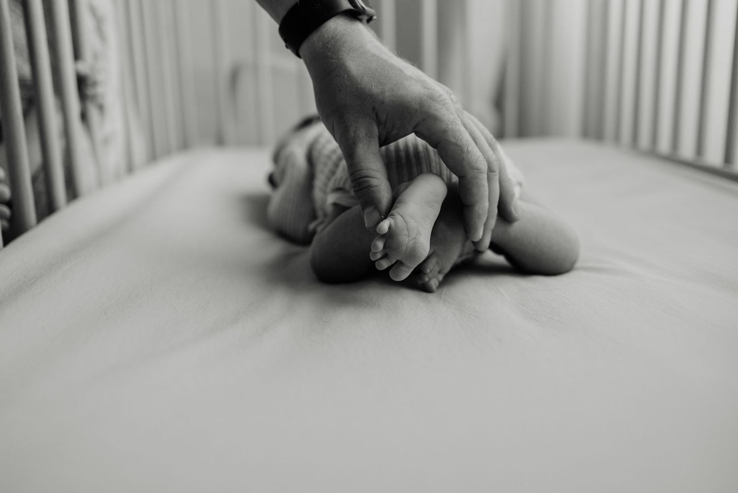 geelong_melbourne_photographer_photoshoot_maternity_pregnancy_newborn_family