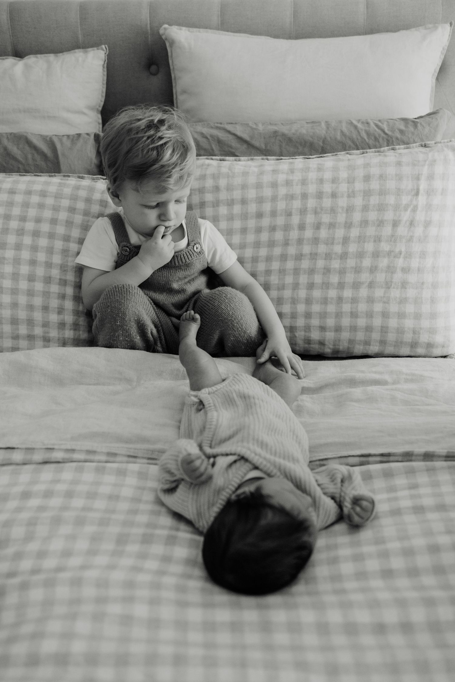 geelong_melbourne_photographer_photoshoot_maternity_pregnancy_newborn_family