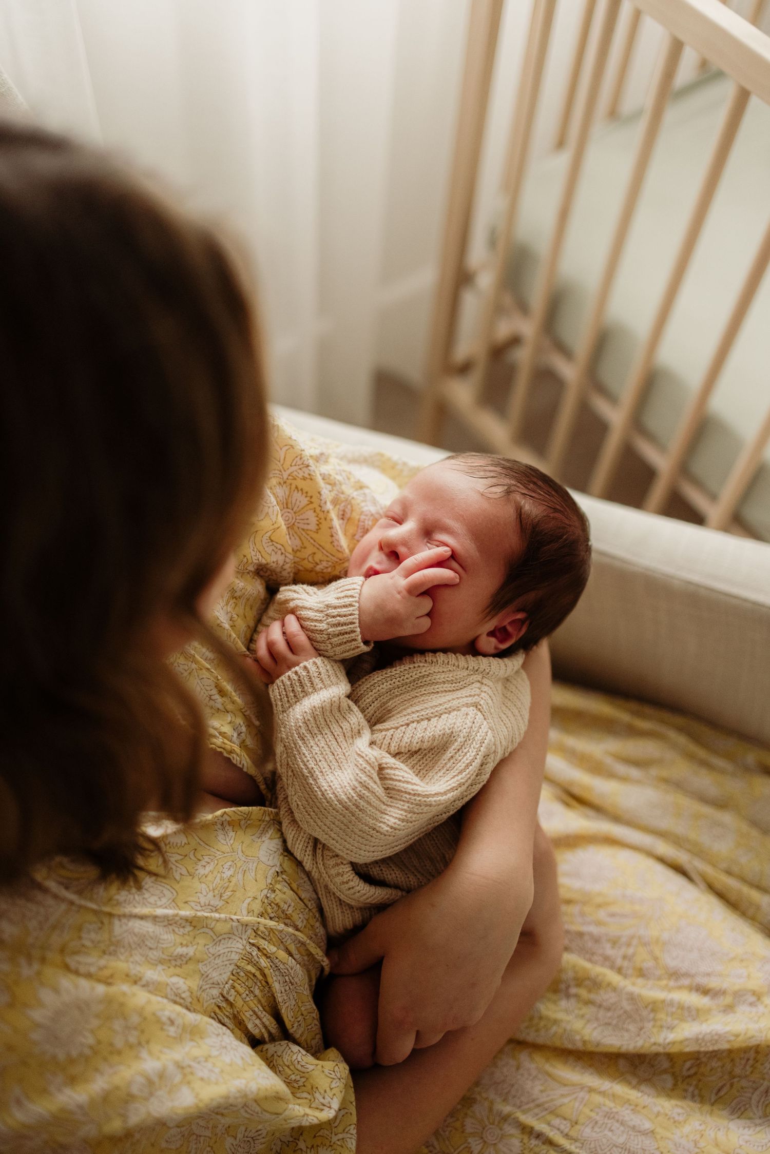 geelong_melbourne_photographer_photoshoot_maternity_pregnancy_newborn_family