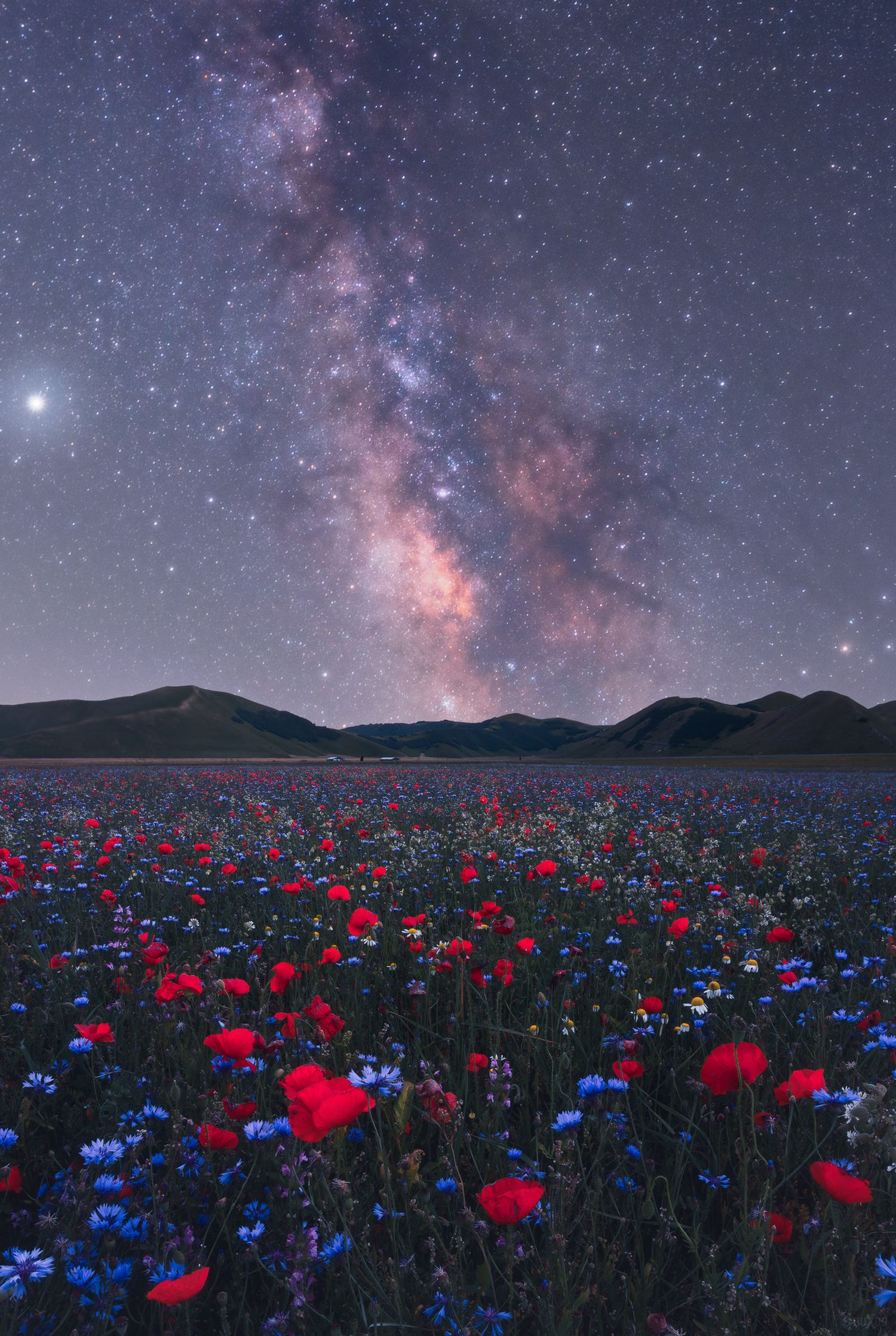 Nightscape