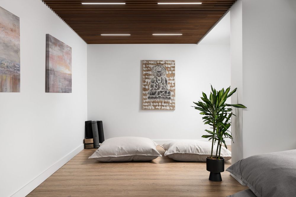 Minimalist meditation room with wooden ceiling, floor cushions, and potted plant against white walls.