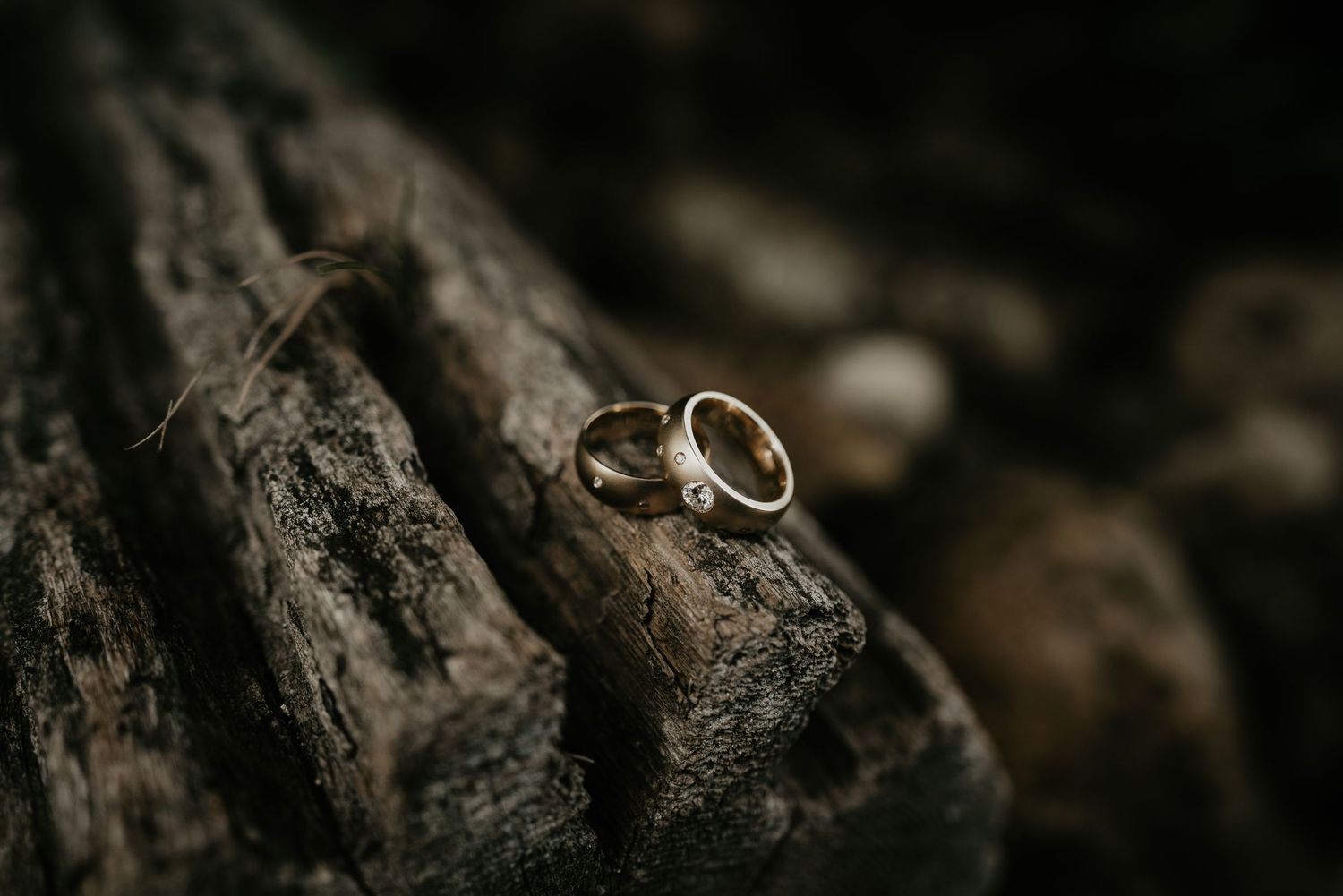 wedding rings groom and groom lgtbq wedding