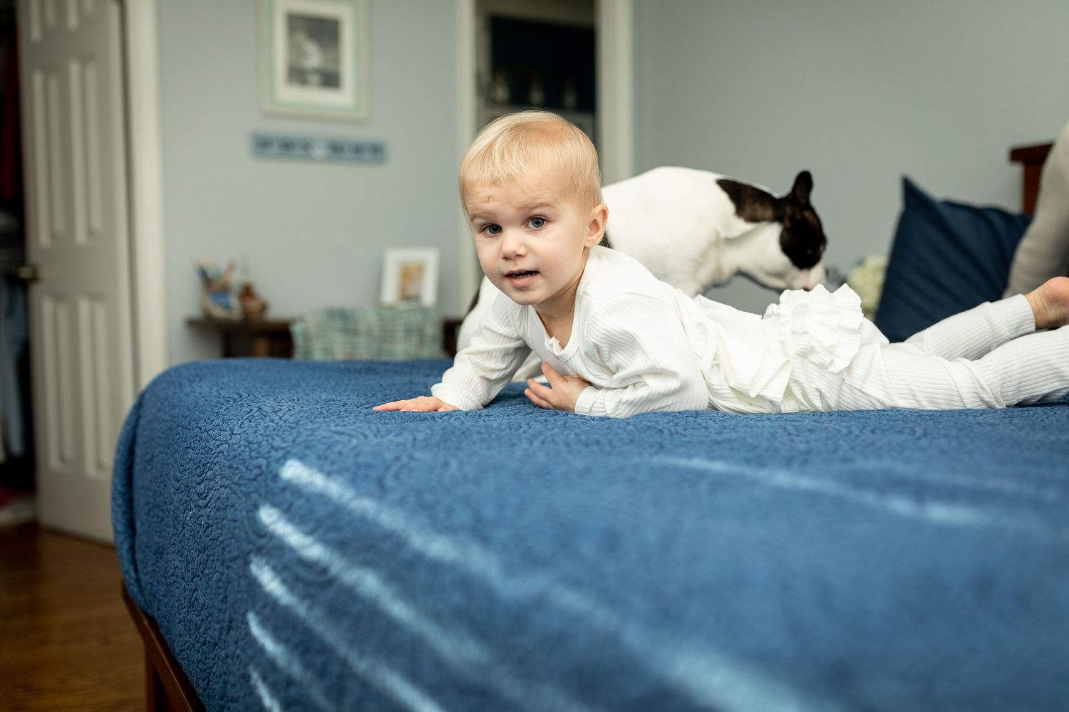A baby in white clothing crawls on a blue bed while a black and white cat rests nearby.