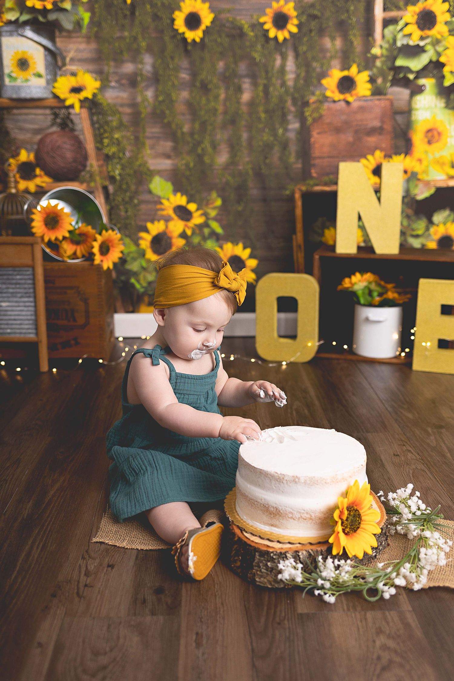 Cakesmash photoshoot Waukesha, Hartland, Oconomowoc, WI