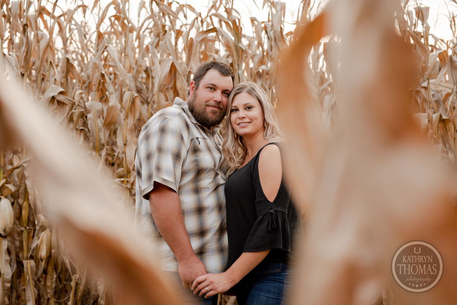 Couple poses together in a golden cornfield during sunset.