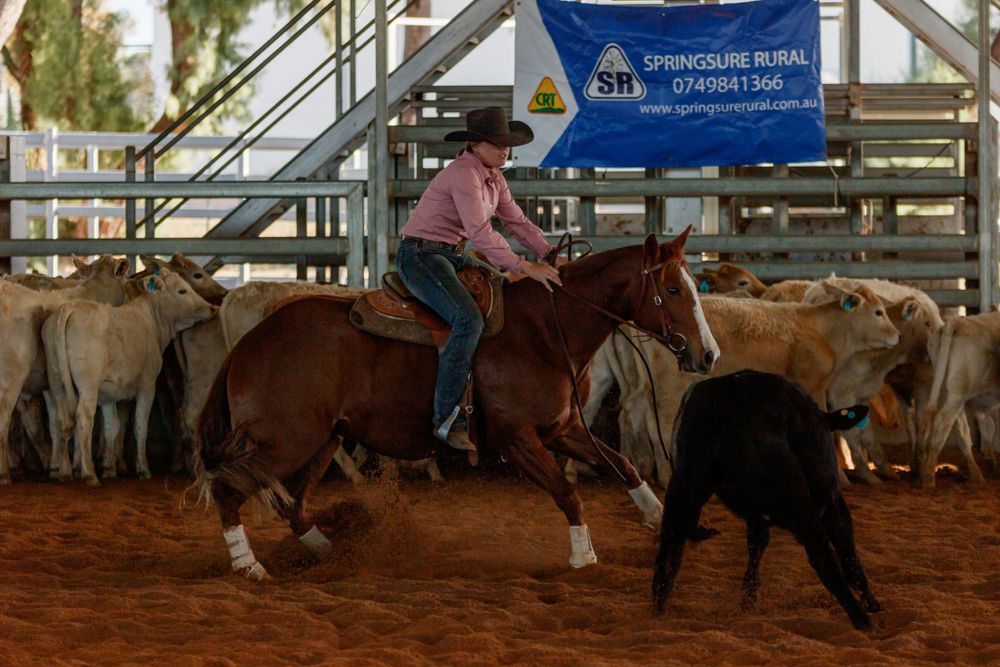 Horse and rider work together to cut a calf from the herd during a ranch sorting competition.
